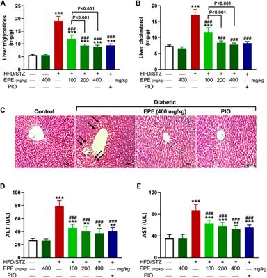 A flavonoid-rich fraction of Euphorbia peplus attenuates hyperglycemia, insulin resistance, and oxidative stress in a type 2 diabetes rat model
